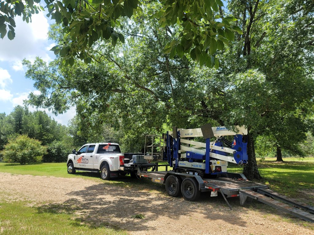 Stump Grinding East Texas: How It Protects Your Property