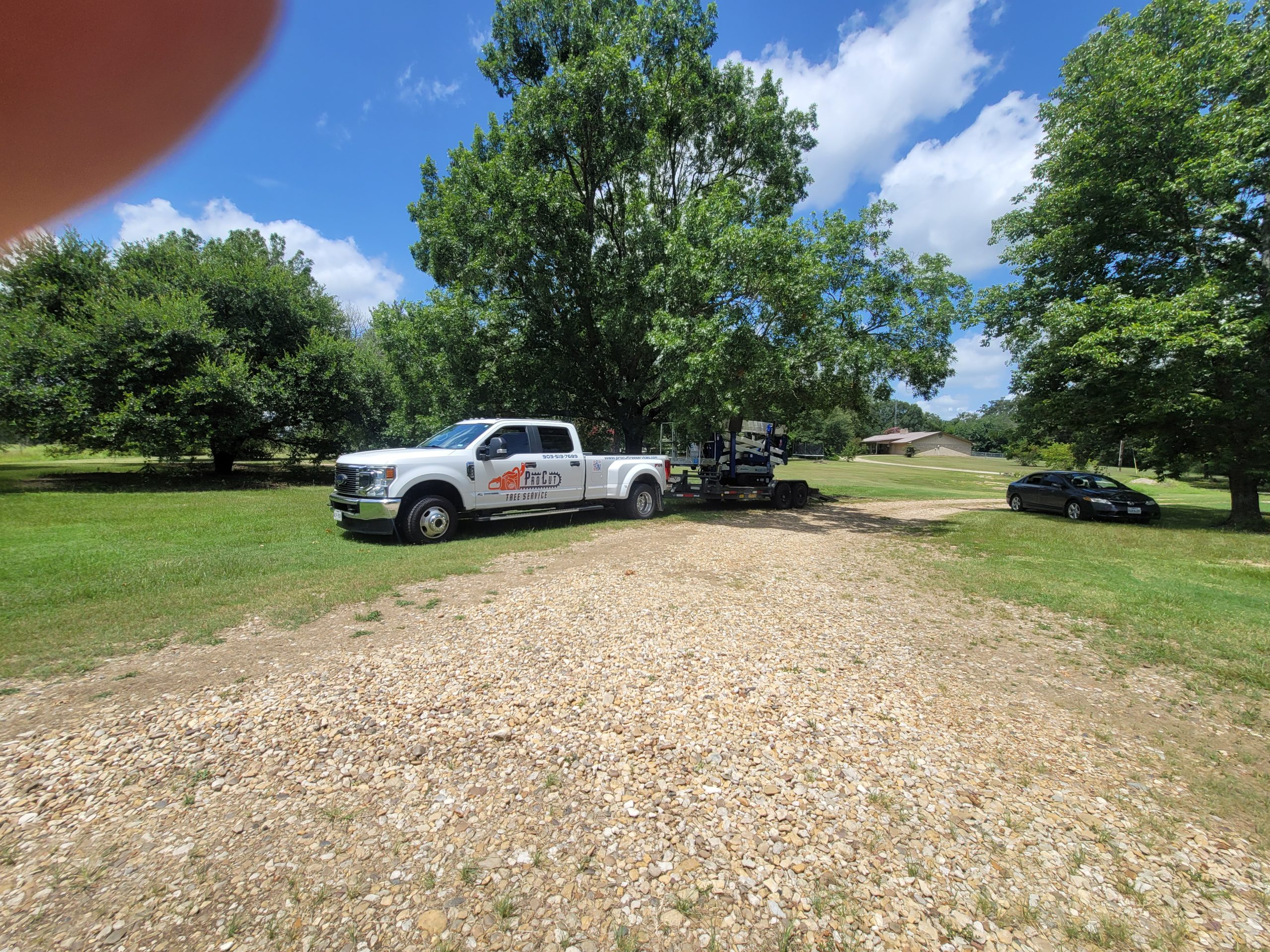 What’s the Difference: Tree Trimming vs Pruning?