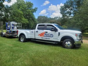 Tree Trimming Greenville TX | ProCut Tree Services